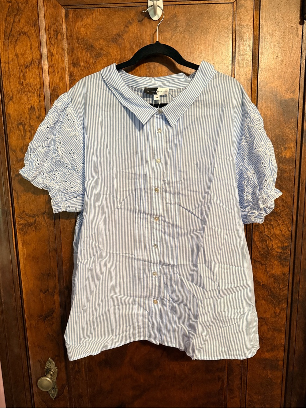 Women's Light Blue Striped Button-Down Top with Eyelet Puff Sleeves